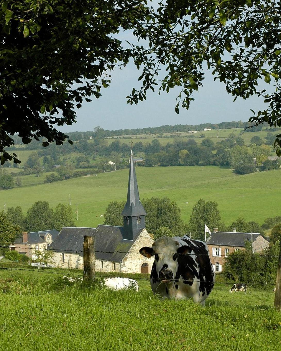 Gite "Le Refuge" Dans Un Domaine De 7Ha Au Calme Vimoutiers Exterior photo