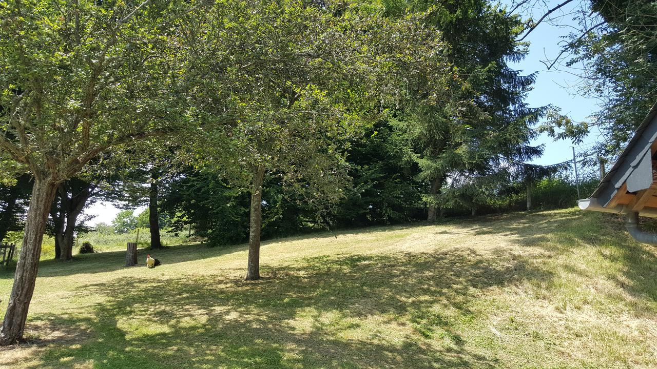 Gite "Le Refuge" Dans Un Domaine De 7Ha Au Calme Vimoutiers Exterior photo